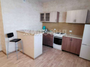 ������ -��������� ��������, �����������, �.��������� ��., 53, ������������� �������