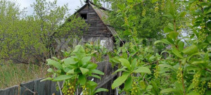 ������� ����, ������, ���������� ��, ���������� �������