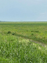 ������� ���������� �������, � ������, �������� ��, ��������� �������