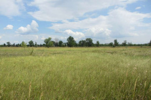 ������� ���������� ������� ��� ������������ ���������, ��������, ����� �., ��������� �������