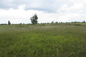 ������� ���������� ������� ��� ������������ ���������, ��������, ����� �., ��������� �������