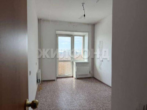 ������� 1-��������� ��������, �������, ��������� ��., 245, ������������� �������