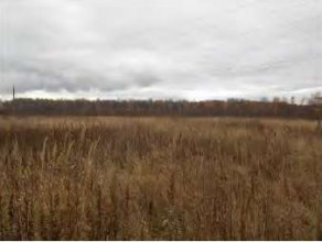 ������� ���������� ������� ��� ������������ ���������, � �������, ��������������� (����������������� �/�) ������� ������������, ���������� �������