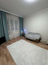 ������� 1-��������� ��������, �����������, 2 ���, 11�, �����-���������� ��