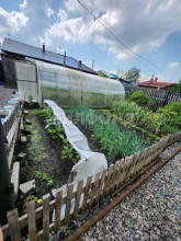 ������� ����, �����������, ������������� ��., ������������� �������