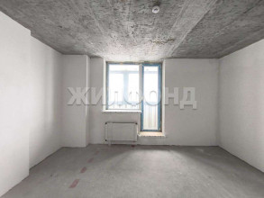 ������� �������� � �����������, �����������, ����� ��., 229, ������������� �������