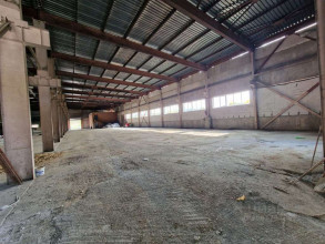 ������ ���������������-���������� ���������, ������ �., ��������� �������