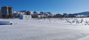 ������� ���������� ������� ��� ������������ ���������, � �����, ��������� ��, ���������� �����