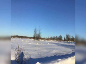 ������� ���������� �������, ������� �., ����������� �������