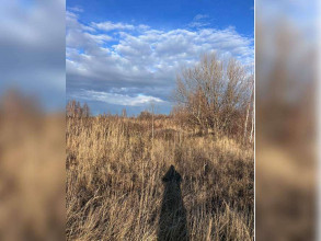 ������� ���������� �������, ���������, ������� ���������� ���, ����������� �������