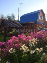 ������� ����, �����������, ����������� ���������� ���, ������������� �������