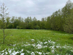 ������� ���������� �������, ٸ�����, ������ ��, ���������� �������