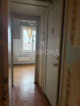 ������� 1-��������� ��������, �����������, �������� ��., 74, ������������� �������