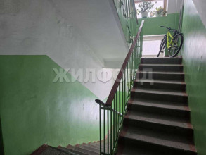 ������� 2-��������� ��������, �����������, ������������� ��., 23�, ������������� �������