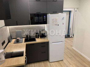 ������� 1-��������� ��������, �����������, �������� ��., 55, ������������� �������