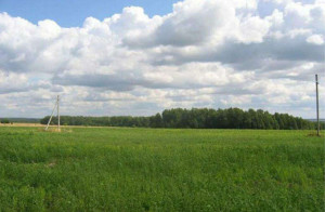 ������� ���������� �������, ���������, �������� ��, ������������� ����