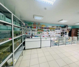 ������� ��������� ���������� ����������, �������, ��������� ��., 84, ������������� �������