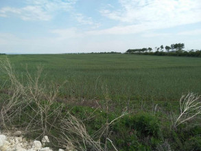 ������� ���������� ������� ��� ������������ ���������, � ������������, �������������� ��, ��������� �������