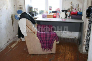 ������� 2-��������� ��������, �����������, �������� ��., 31, ������������� �������