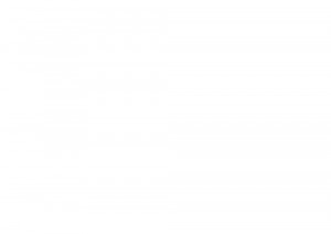 ������� �������� � �����������, ��������, ����� ������ ������������ ��, 1, ��������������� �������