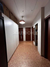 ������� 2-��������� ��������, �����������, �������� ��., 76, ������������� �������