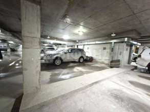 ������� ��������� ���������� ����������, �����������, ������ ��������� ��., 208, ������������� �������