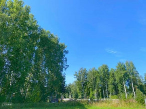 ������� ���������� �������, �� ����������, ���� ������, ������������ �������