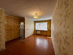 ������� 1-��������� ��������, �����������, �������� ��., 41, ������������� �������