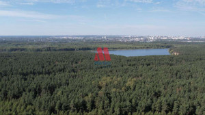 ������� ���������� �������, �������� �., ����������� �������