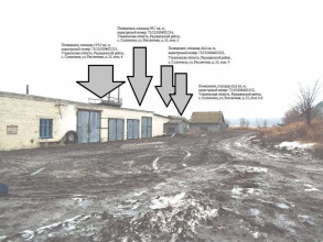 ������� �����, ��������� �., ���������� ��., 55, ����������� �������