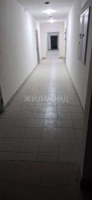 ������� -��������� ��������, �����������, �.��������� ��., 144, ������������� �������