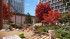 ������� ��������� ���������� ����������, �������� ��., �.2��3, ������