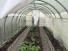 Продажа дома, гп. Емельяново, 8-я Садовая ул, 23, Красноярский край