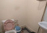 Аренда помещения различного назначения, Канаш, 30 лет Победы ул., 10, Чувашия