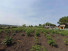 Продажа дома, Усть-Луковка с., М. Соколовой ул., Новосибирская область