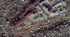 ������� ��������� ���������� ����������, �����������, ������ ��., 16, ������������� �������