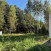 ������� ����, ����������� �., ����������� �������