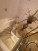 ������� 5-��������� ��������, ������� ��., 1�, ������