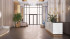 ������� �������� � �����������, �����������, ���������� ��., �.��1, ������������� �������