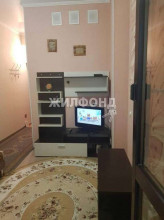  1- , ,  , 48,  