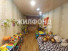  3- , ,  ., 8,  