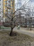  3- , ,  ., 86,  