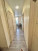  1- , , 6- , 36,  