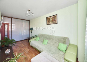  3- , ,  ., 28,  