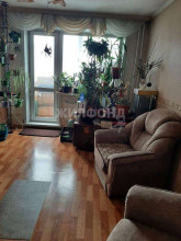  4- , ,  , 55,  