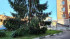 4- , ,  ., 44,  