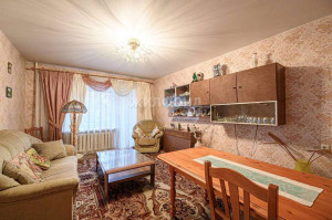  3- , ,  ., 28,  