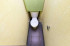  3- , ,  ., 261,  