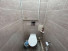 3- , ,   ., 29,  