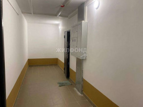  3- , ,  , 262,  
